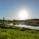 SE - Park - Carousel - Coarse fishing lake
