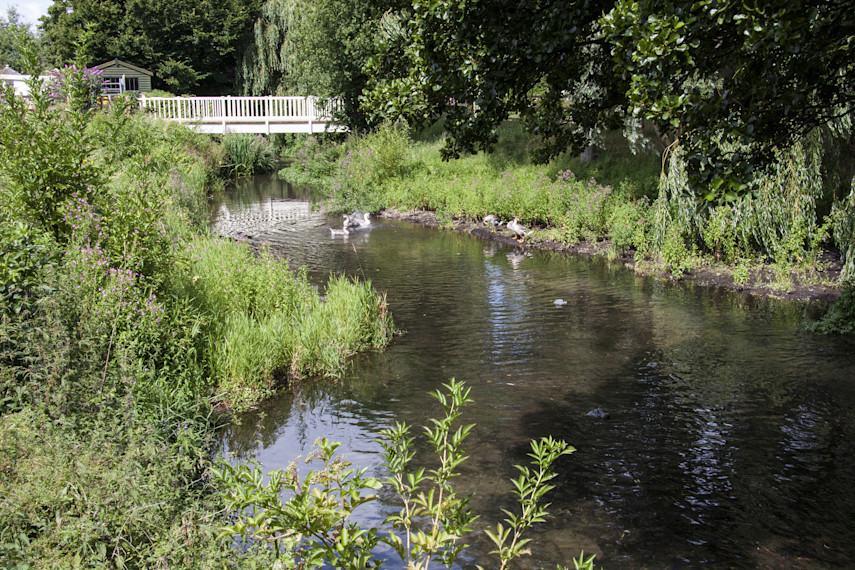 2. Fairhaven Woodland and Water Garden