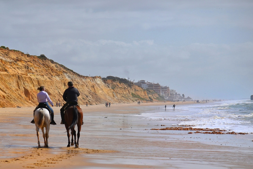 Horseback Riding Along the Beach