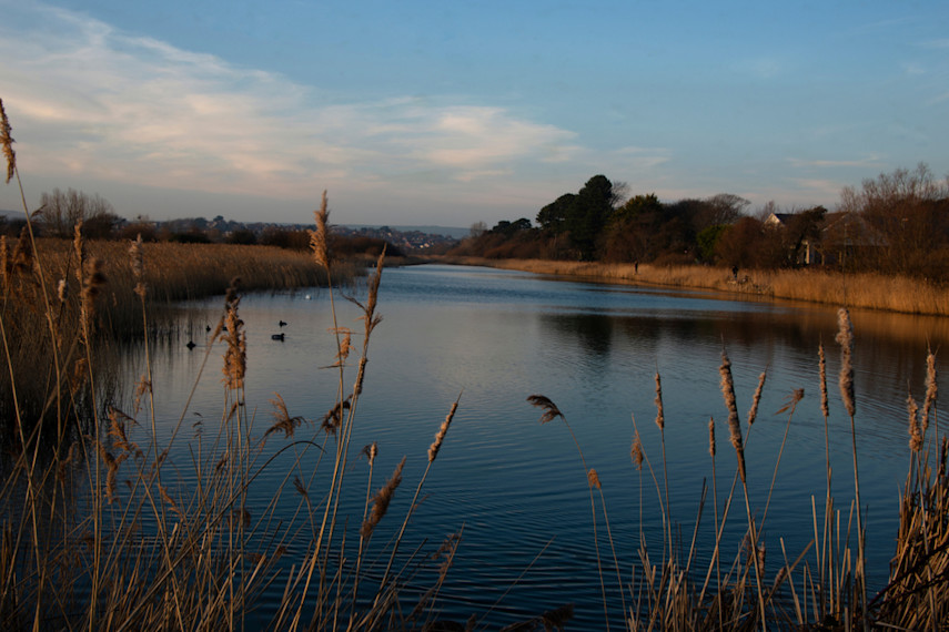 9. RSPB Radipole Lake Nature Reserve