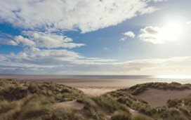 Blue Flag beach alongside Greenacres