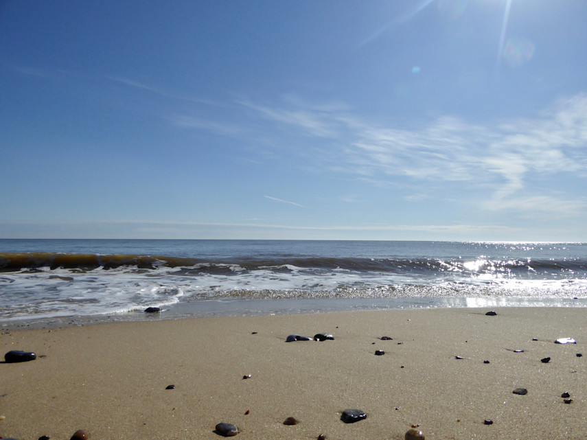 Beach history: featured in film