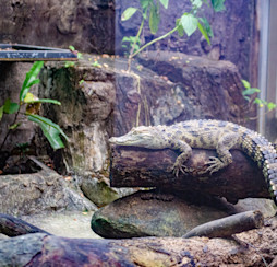 Sealife Great Yarmouth