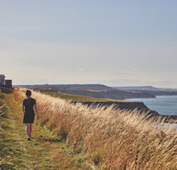 Stunning coastline