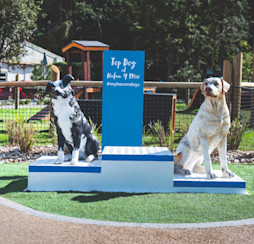 The Bark Yard at Hafan y Mor