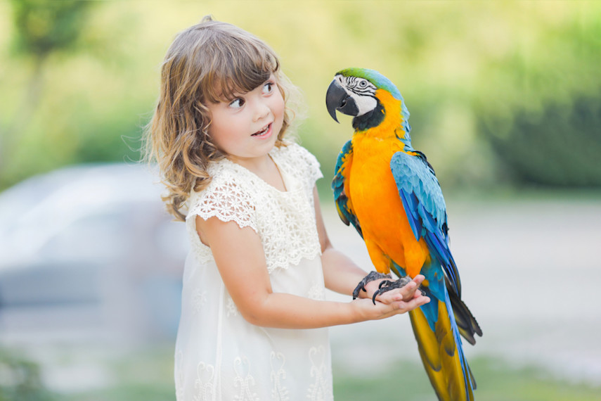 Best places to visit for babies and toddlers in Cornwall