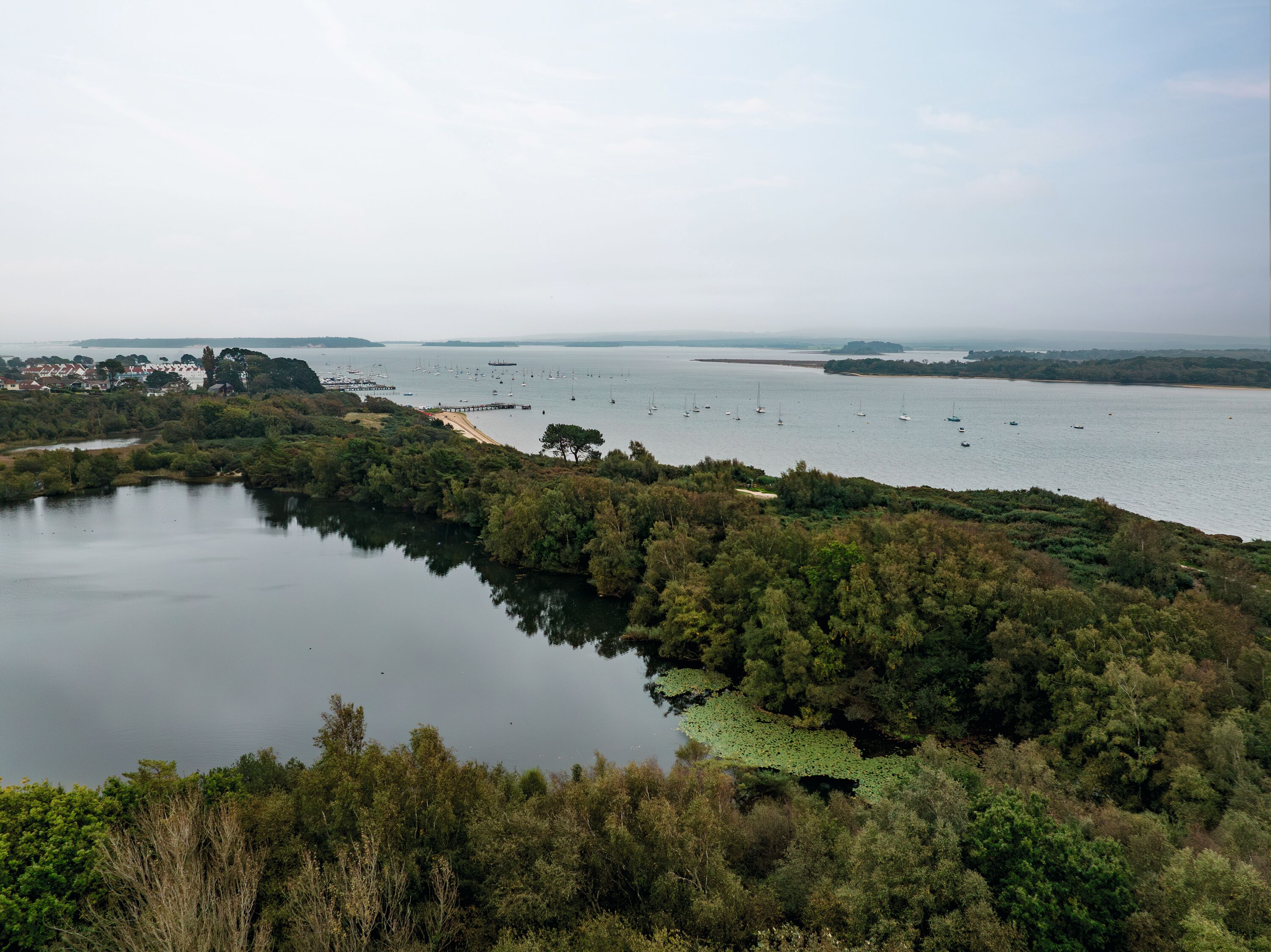 Other popular highlights