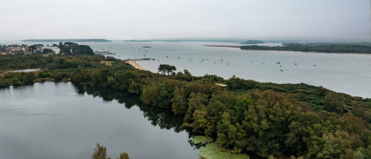 Ham Common nature reserve next door