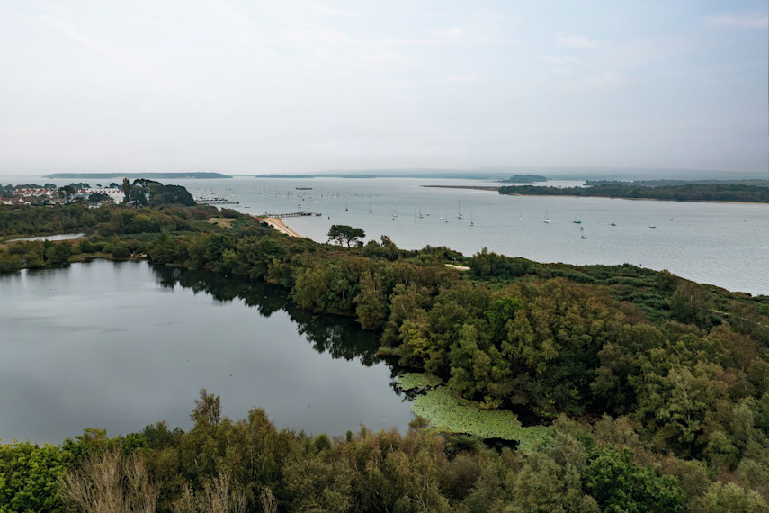 Other popular highlights