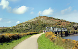 Cyclists on the Camel Trail