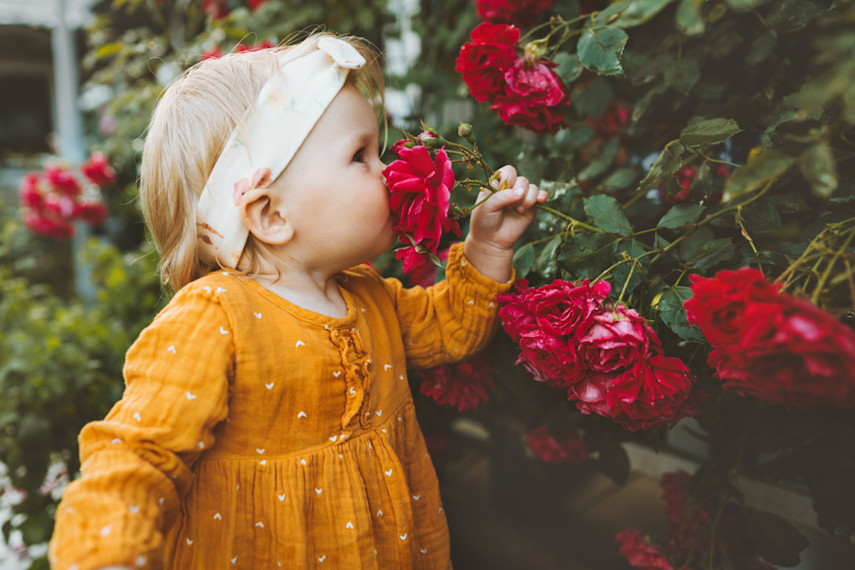 Best places to visit for babies and toddlers in Northumberland