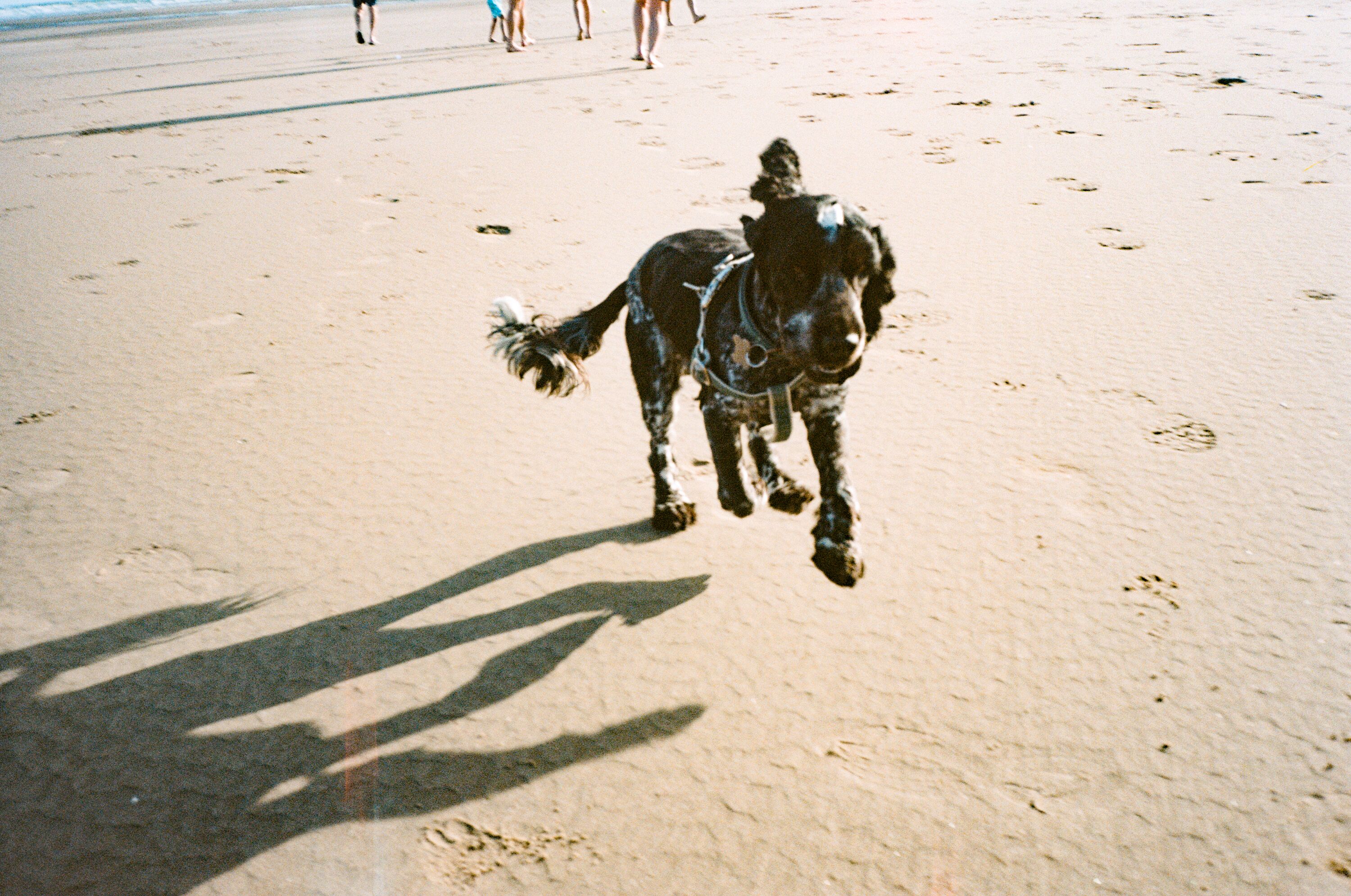 7. Bossington landscape walk 