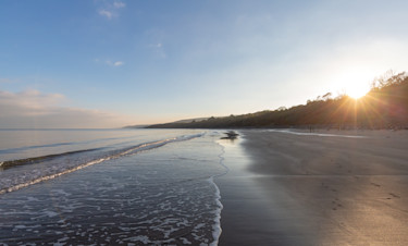 Direct access to dog friendly beach at Quay West
