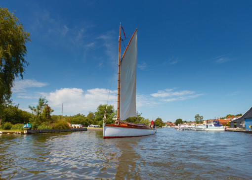 Best Norfolk boat trips and tours