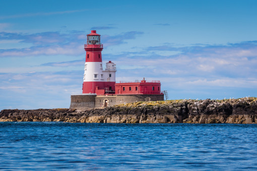 Boat trips to the Farne Islands