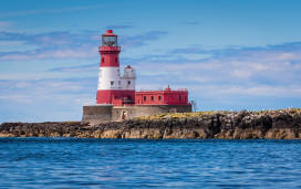 Farne Islands, Northumberland 