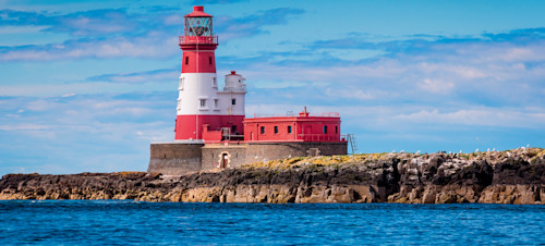 Farne Islands, Northumberland 