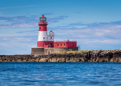Boat trips to the Farne Islands