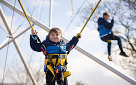 Bungee Trampolines