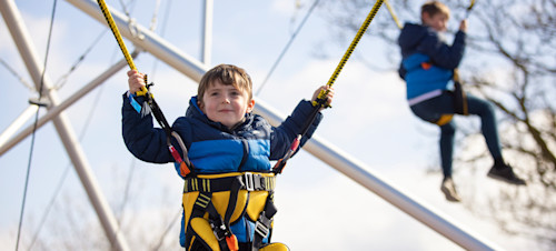 Bungee Trampolines