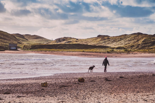 Dog friendly beaches in North Wales