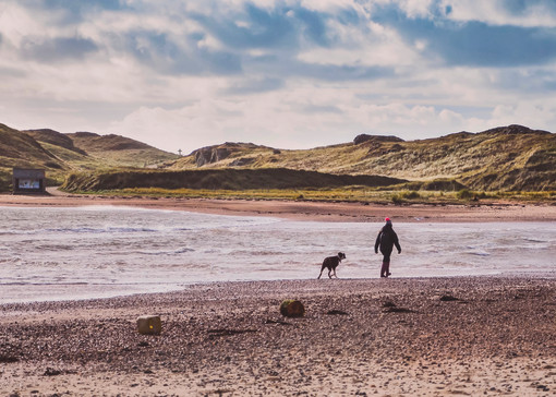 Dog friendly beaches in North Wales