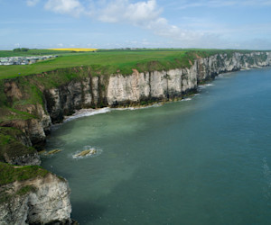 The park and surrounding area.