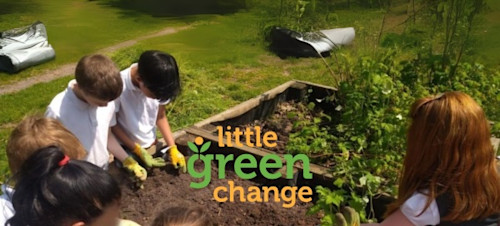 Why Little Green Change?