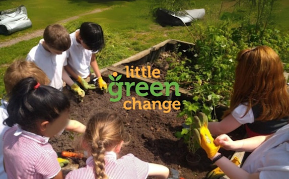 Image for Little Green Change