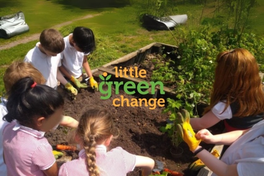 Why Little Green Change?