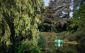 Pedalo