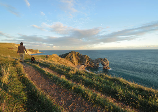 Dog-friendly beaches in Dorset