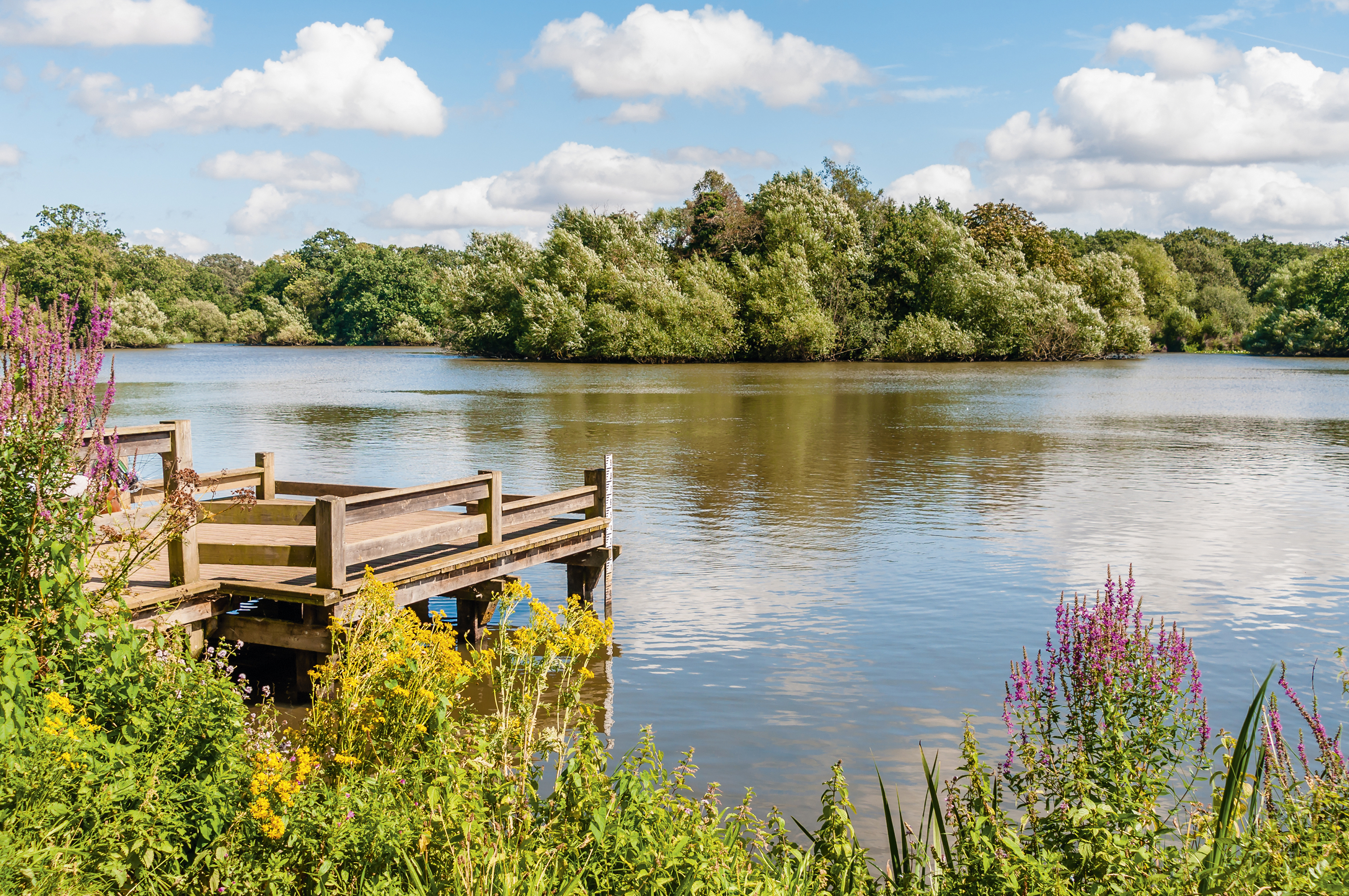 Our favourite things to do in Essex