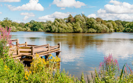 Things to do in Essex