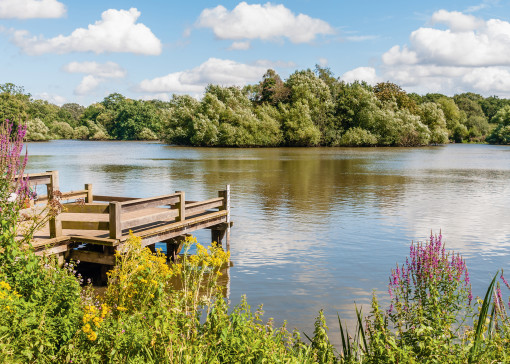 Our favourite things to do in Essex