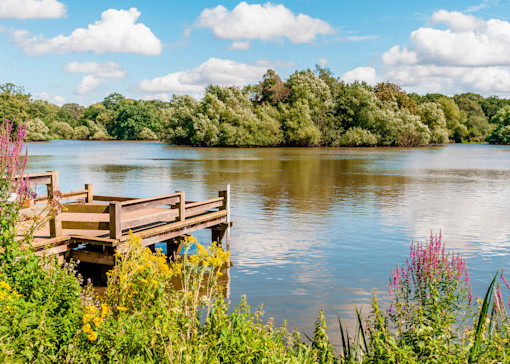 Our favourite things to do in Essex