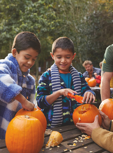 Seasonal Events