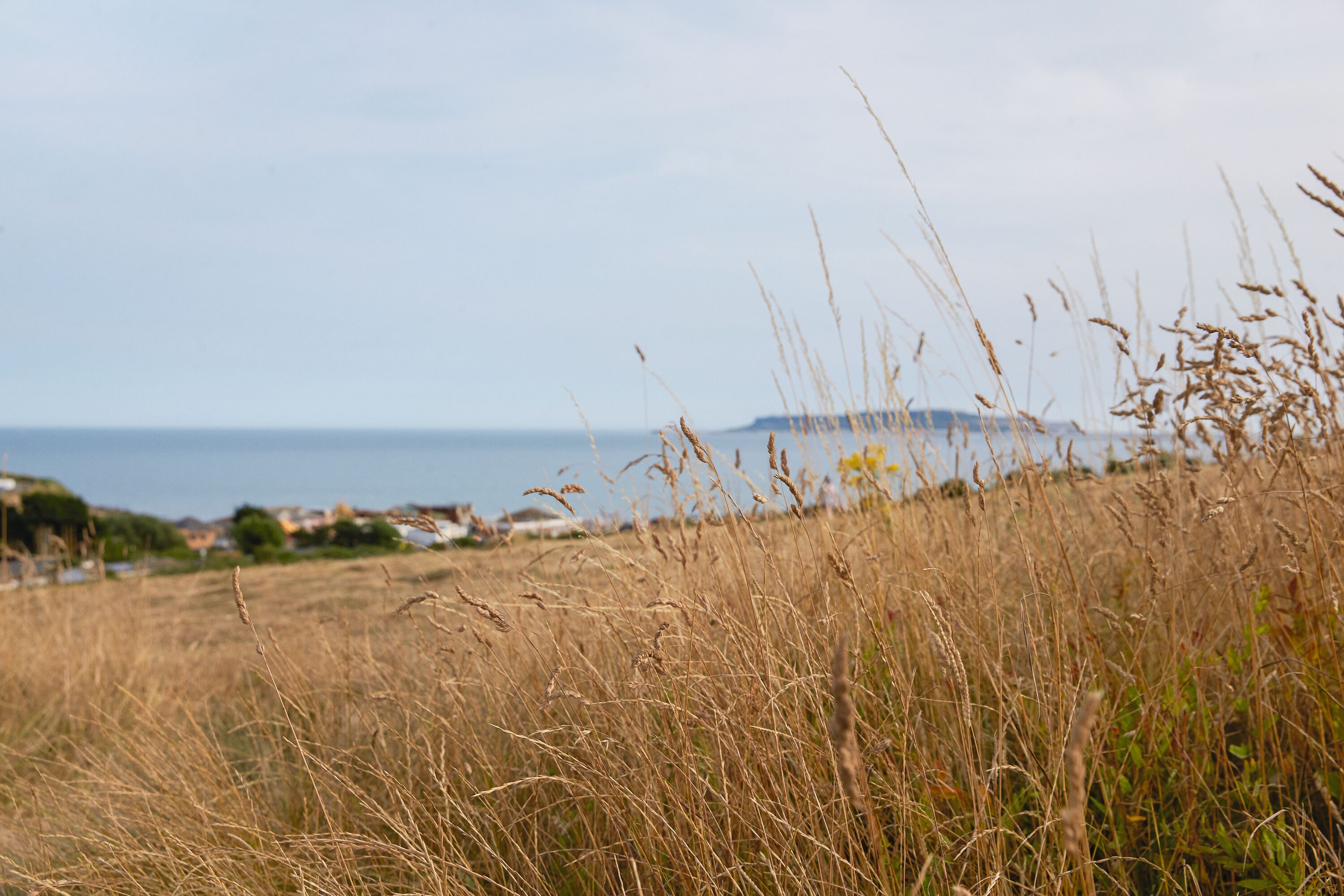 Seaview Holiday Park