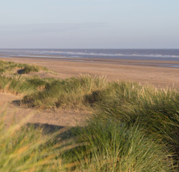 Beach and dunes at Golden Sands