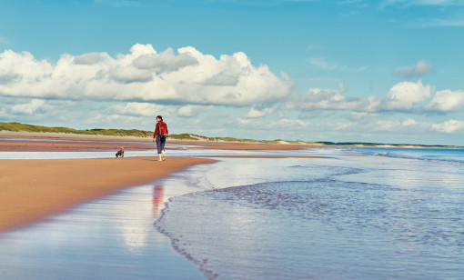 Dog-friendly beaches in Northumberland