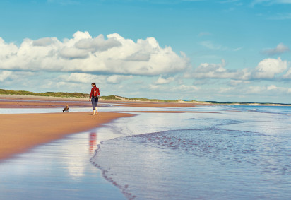 Dog friendly beaches in Northumberland