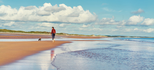 Walking along a Northumberland beach