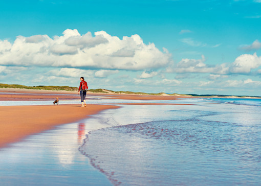 Dog-friendly beaches in Northumberland