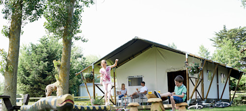 Safari Tents