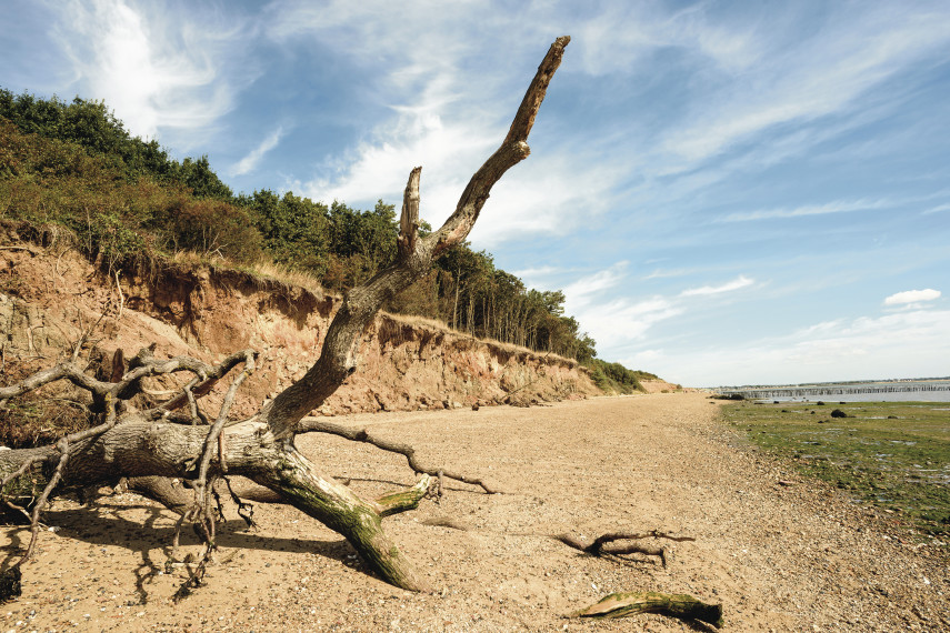 Cudmore Grove Beach, Mersea Island