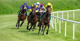 Generic horse racing