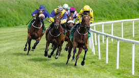 Generic horse racing