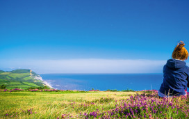 Bridport sea view