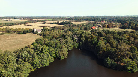 Fritton Woods from above