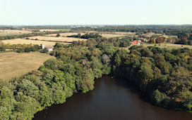 Fritton Woods from above